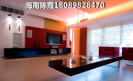 东莞大朗村委统建楼 一居  户型图