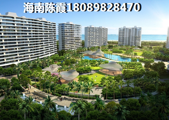 松湖中心城 两居  户型图