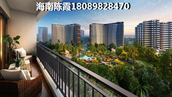 沙井通城中心花园 一居  户型图