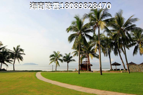 沙井通城中心花园 一居  户型图