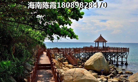 万科松山湖悦 一居  户型图