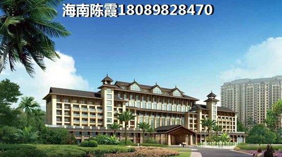 万科松山湖悦 两居  户型图