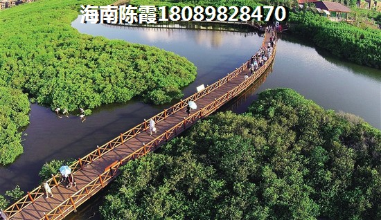 利丰城市花园 两居  户型图