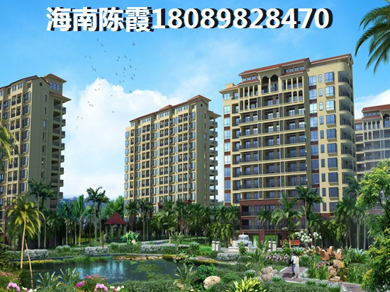 虎门国际公馆 两居  户型图