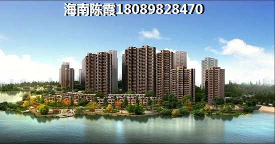 虎门国际公馆 四居  户型图