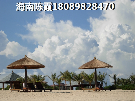 中信凯旋国际 两居  户型图
