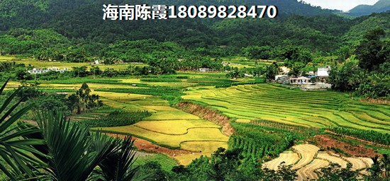 名泽天下 建筑规划 